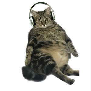 Meet your Posher, Pham huong khanh